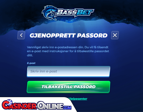 BassBet Casino Problemer med innlogging