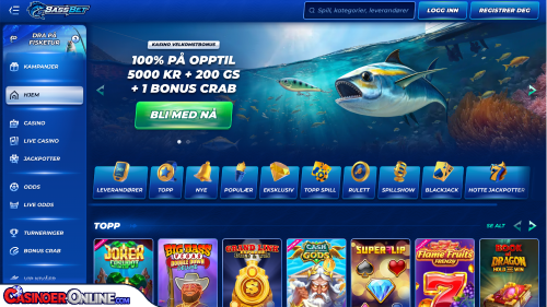 BassBet casino Kort anmeldelse