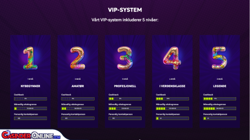 RTBet Casino Vip-programmet