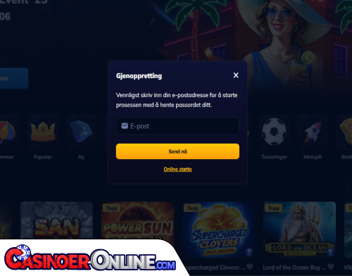 RioAce Casino Problemer med innlogging