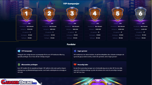 RioAce Casino Vip-programmet