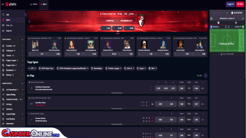Ybets Casino Sports