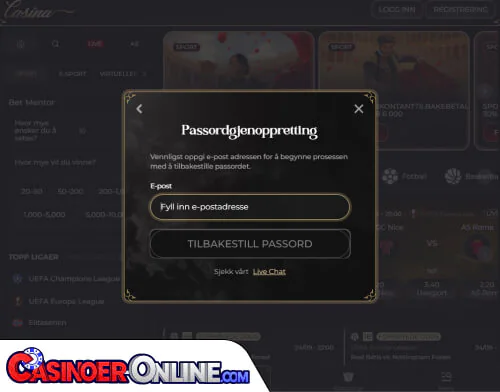 Casina Casino Problemer med innlogging