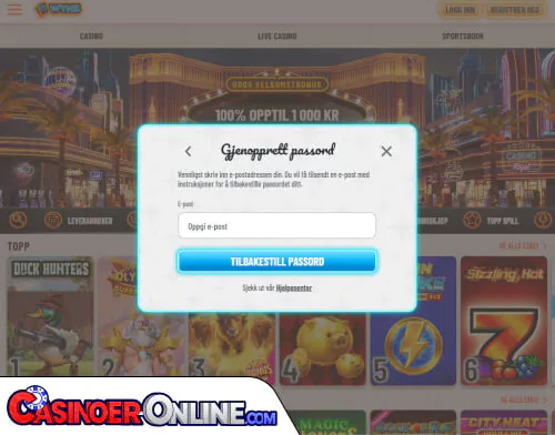 Wyns Casino Problemer med innlogging