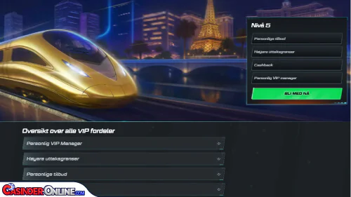 Spinational Casino Vip-programmet