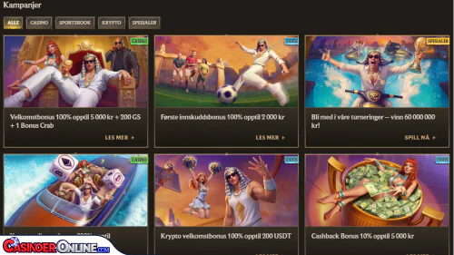 Realz Casino Bonuser