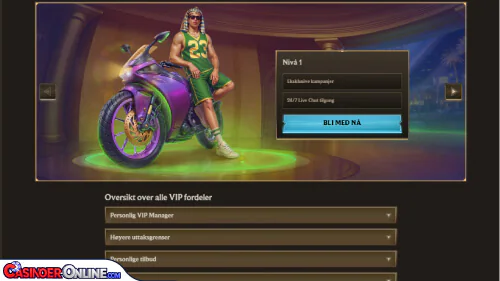 Realz Casino Vip-programmet