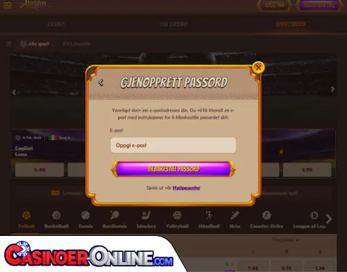 Alawin Casino Problemer med innlogging