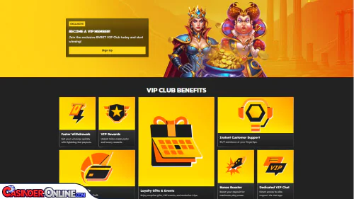 BVBet Casino Vip-programmet