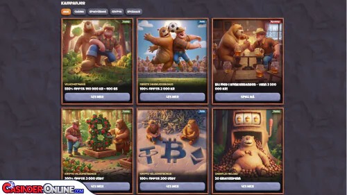 Bearo Casino Bonuser