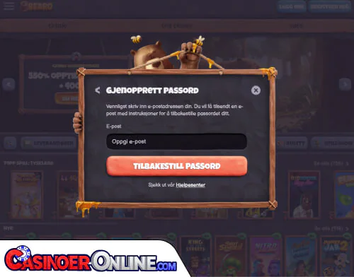 Bearo Casino Problemer med innlogging